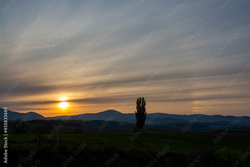 秋の夕暮れのオレンジの空とポプラ
