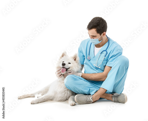 Veterinarian with cute dog ...