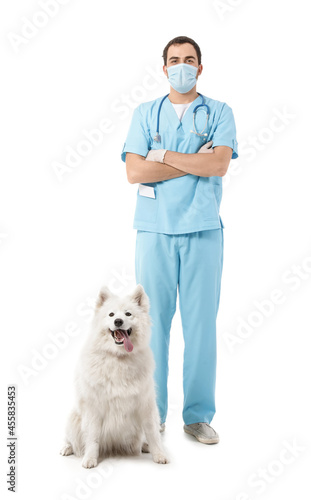 Veterinarian with cute dog ...