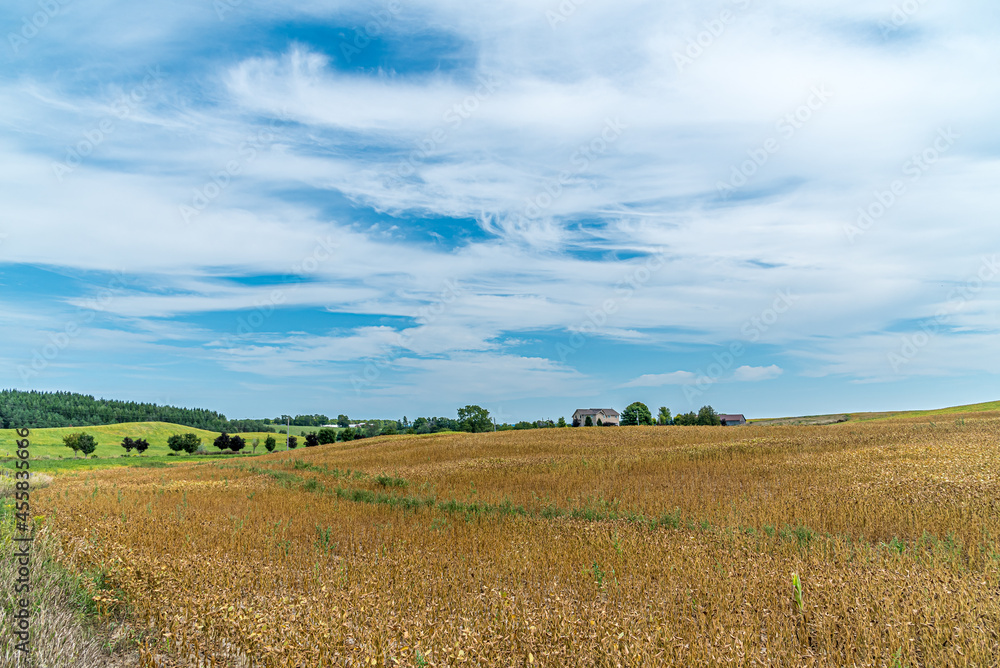 Farm field