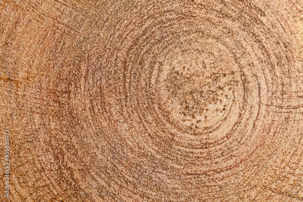 Naklejka premium Close - up brown stump pattern texture and background seamless