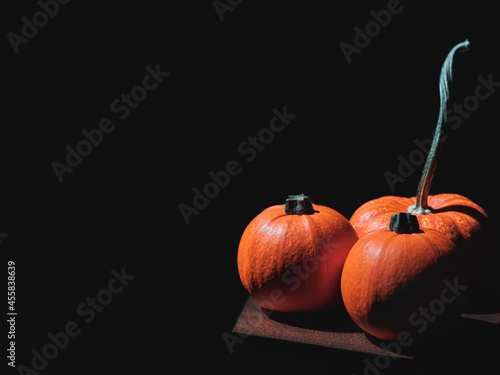 Still Life Pumpkins (ID: 455838639)