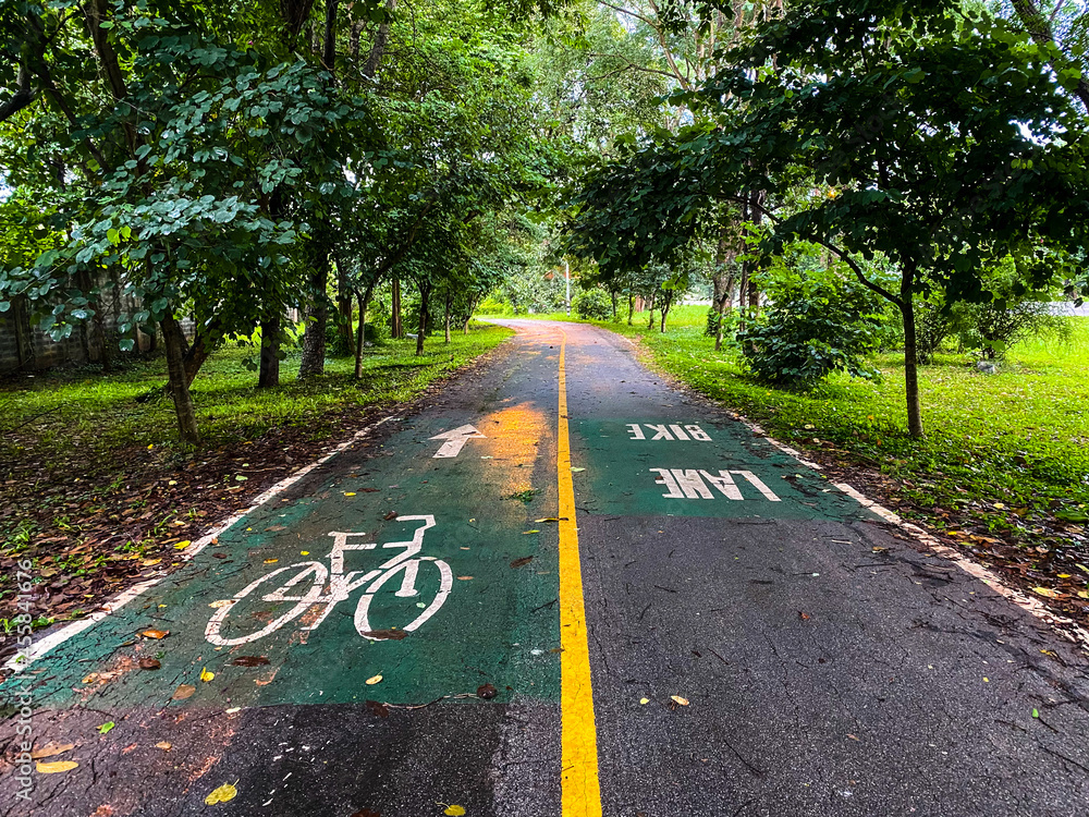 Obraz premium Afternoon bike lane after rain