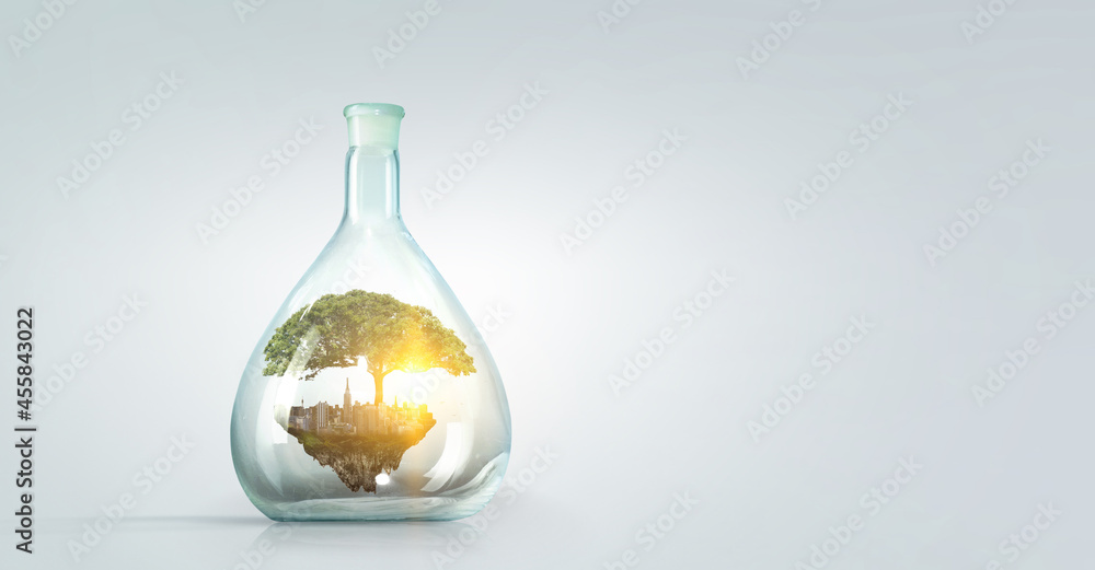 Tree growing inside clear glass bottle . Mixed media Tree growing inside clear glass bottle . Mixed media
