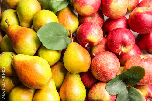Cuadro en lienzo Ripe pears and apples as background