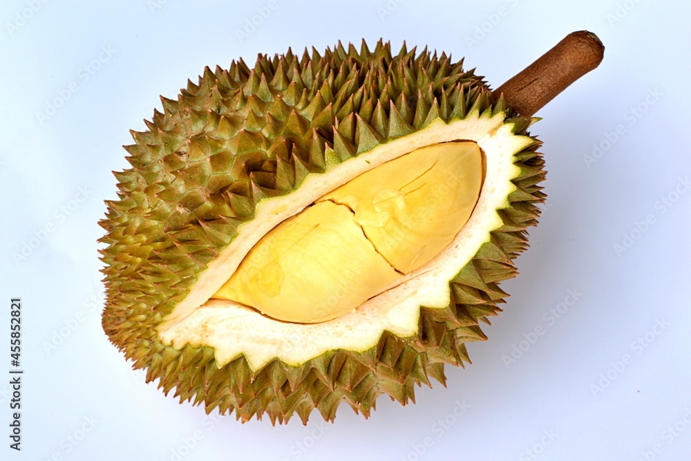 Obraz premium Durian fruit has a bad smell on a white background.