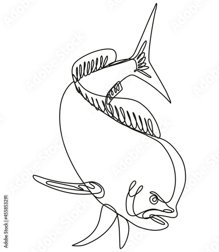 Continuous line drawing illustration of a dorado dolphin fish or mahi mahi diving down done in mono line or doodle style in black and white on isolated background. 