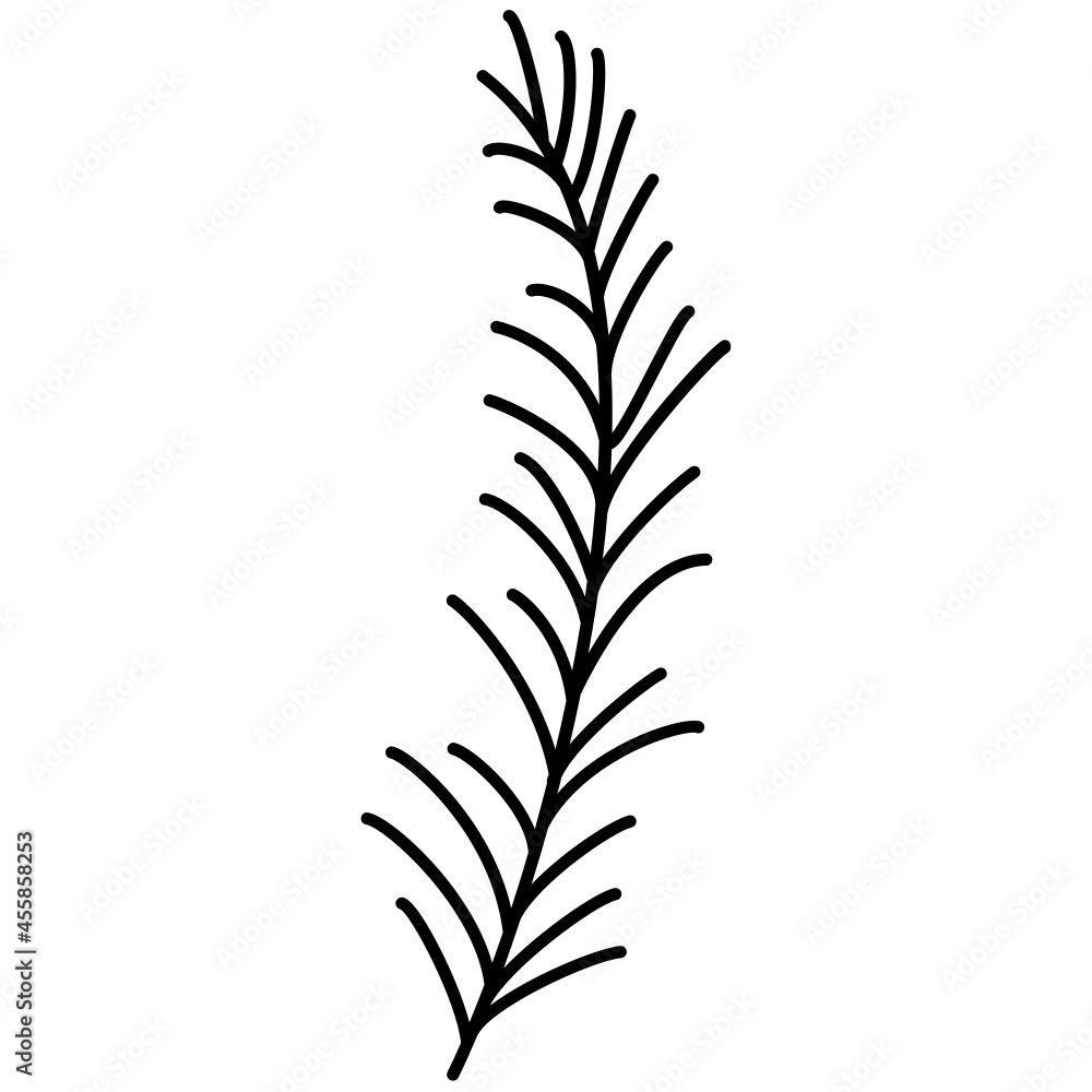 pine branch hand drawn outline doodle icon