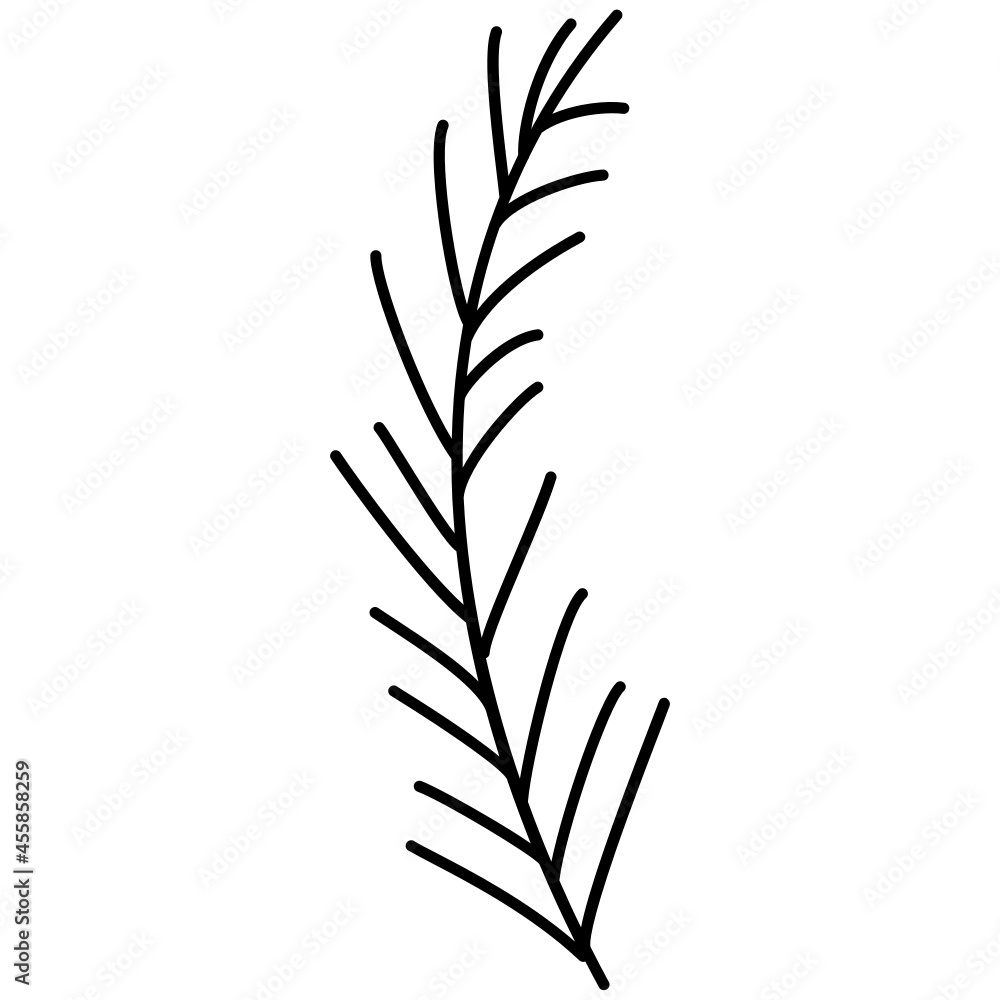 pine branch hand drawn outline doodle icon pine branch hand drawn outline doodle icon
