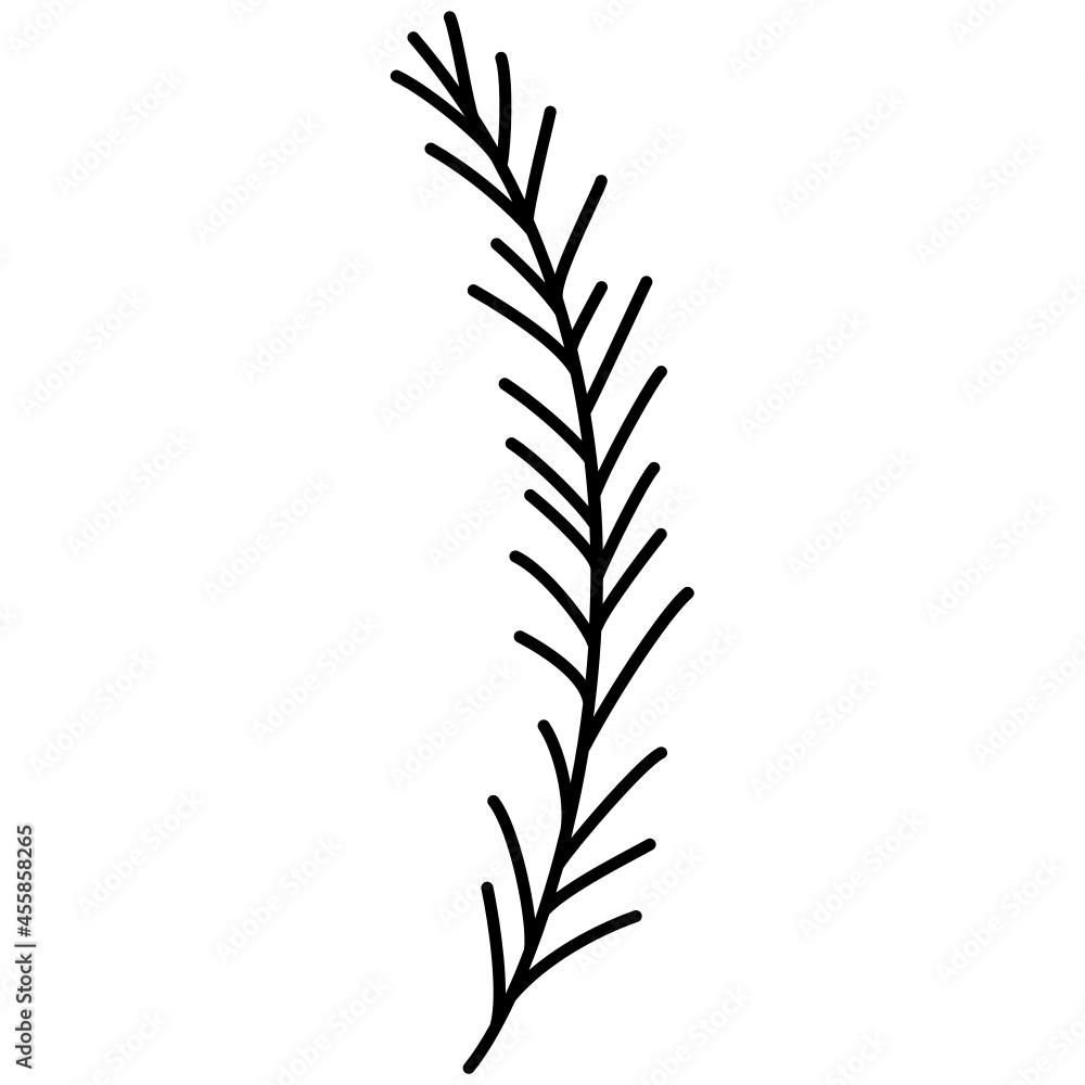 pine branch hand drawn outline doodle icon pine branch hand drawn outline doodle icon
