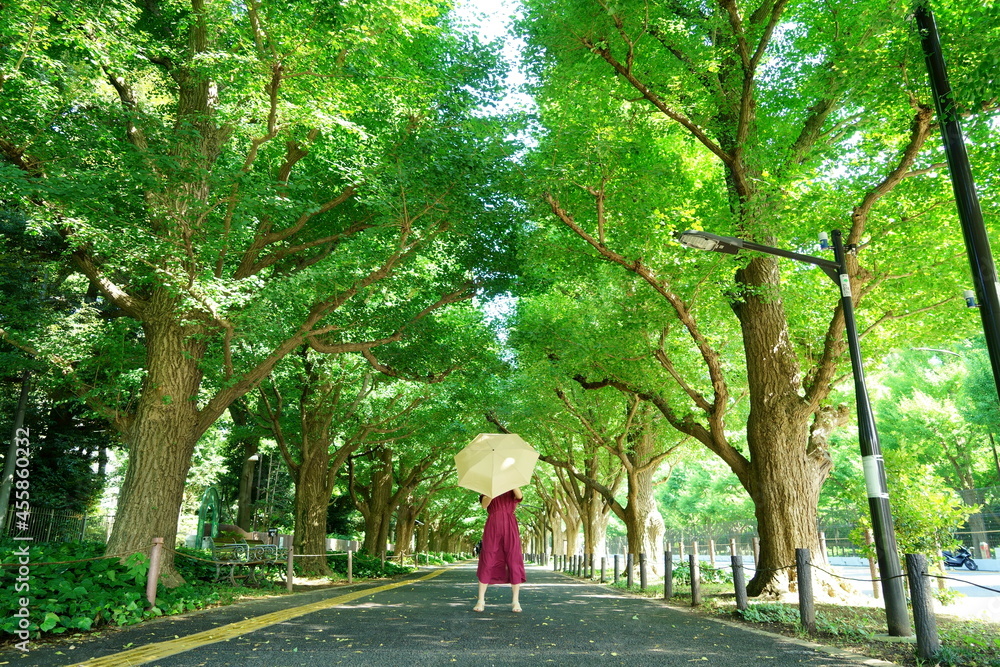 銀杏並木の中央で黄色い日傘をさして立つ赤いワンピースの女性