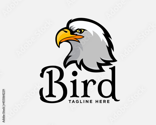 eagle hawk falcon head mascot logo template illustration inspiration