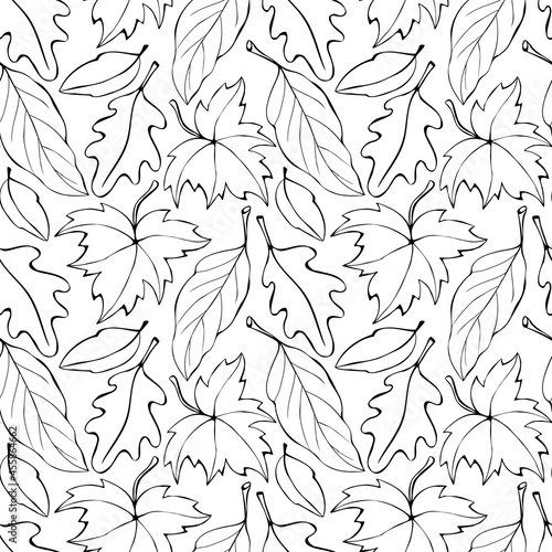 Seamless pattern falling leaves. Vector autumn texture isolated, outline, sketch style. Concept of forest, leaf fall, nature