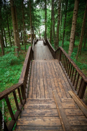 A path made of wooden flooring with a railing in the forest.