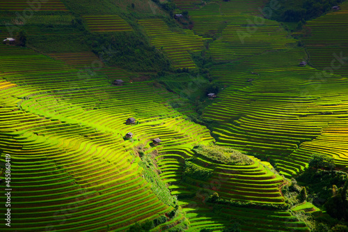 Terraced rice field in rice season in Sapa, Vietnam, soft focus