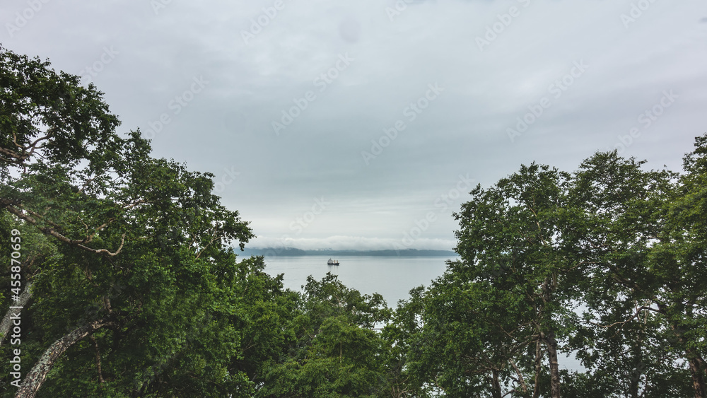 The surface of the ocean is calm. A lone ship is floating on the water. The sky is cloudy. In the foreground there are green branches of trees. Petropavlovsk-Kamchatsky