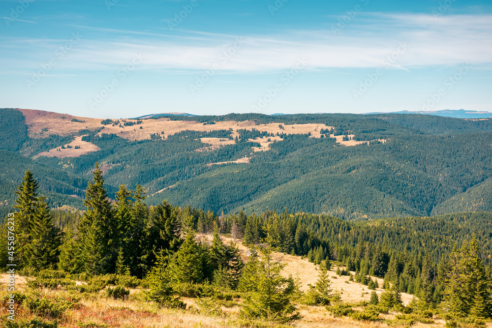 Fototapeta premium mountain landscape with forested hill. bright sunny afternoon autumn weather. arieseni mountains of romania. travel back country concept