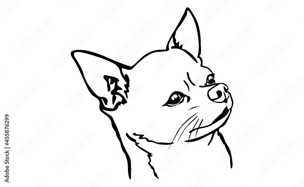 Dog With Line Art Style