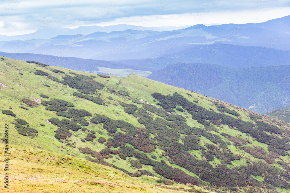 landscape of a Carpathians mountains