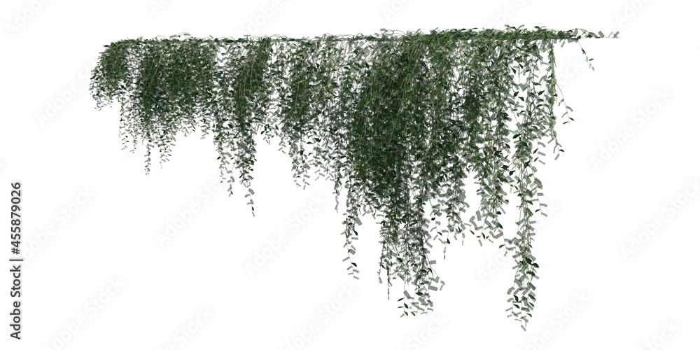 Climbing plants creepers isolated on white background 3d illustration
