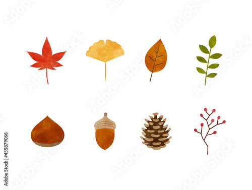 秋の落ち葉や木の実の素材
