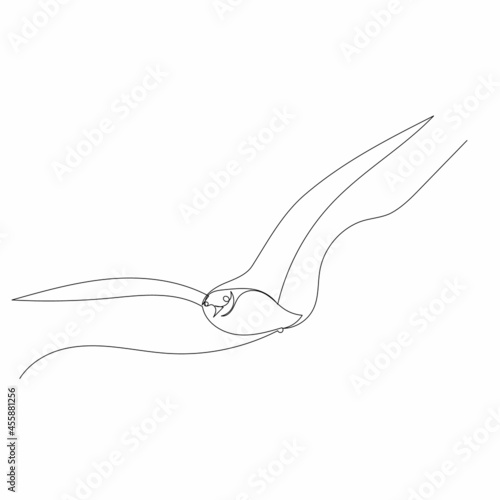 seagull flying one continuous line drawing, sketch