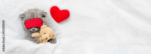 Cozy scottish kitten higs toy bear and sleeps in sleeping mask with red heart under blanket on a bed at home. Top down view. Empty space for text