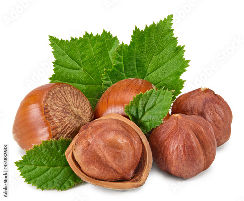 hazelnuts with green leaf isolated on white background macro. clipping path