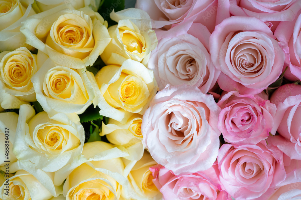 Bright beautiful bouquet yellow and pink of roses close up Bright beautiful bouquet yellow and pink of roses close up