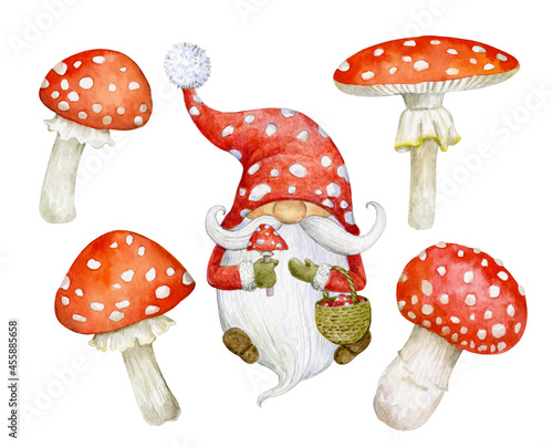 A fairy-tale character is a dwarf with a hat in the form of a fly agaric. Watercolor illustration. An elegant festive gnome in a set with fly agaric mushrooms.