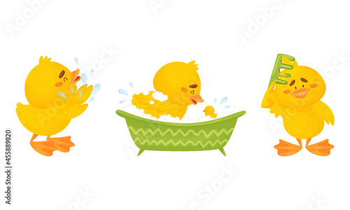 Little Yellow Chick Bathing in Bathtub and Combing Vector Set
