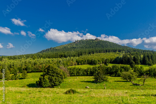 Schöner Spätsommer Spaziergang durch den Thüringer Wald - Steinbach-Hallenberg - Deutschland