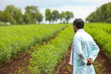 Young indian farmer standing in green pigeon pea agriculture field.