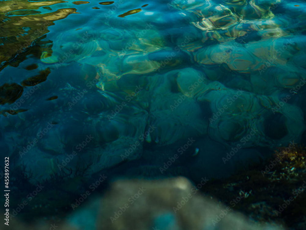Obraz premium Seabed with underwater flora.