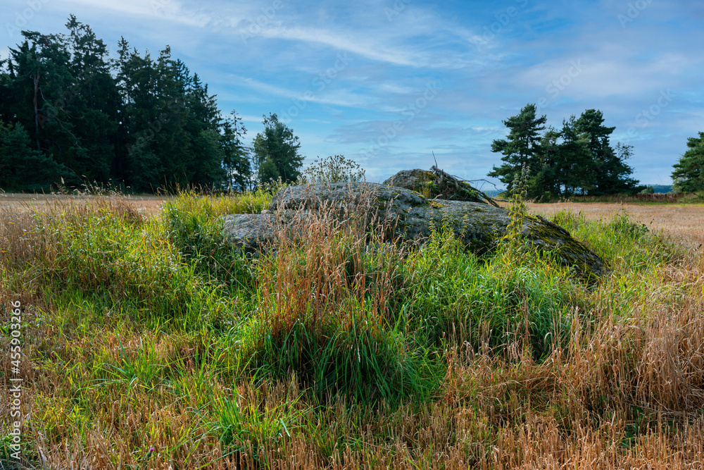 Rock boulder in field, field and forest on horizon, 