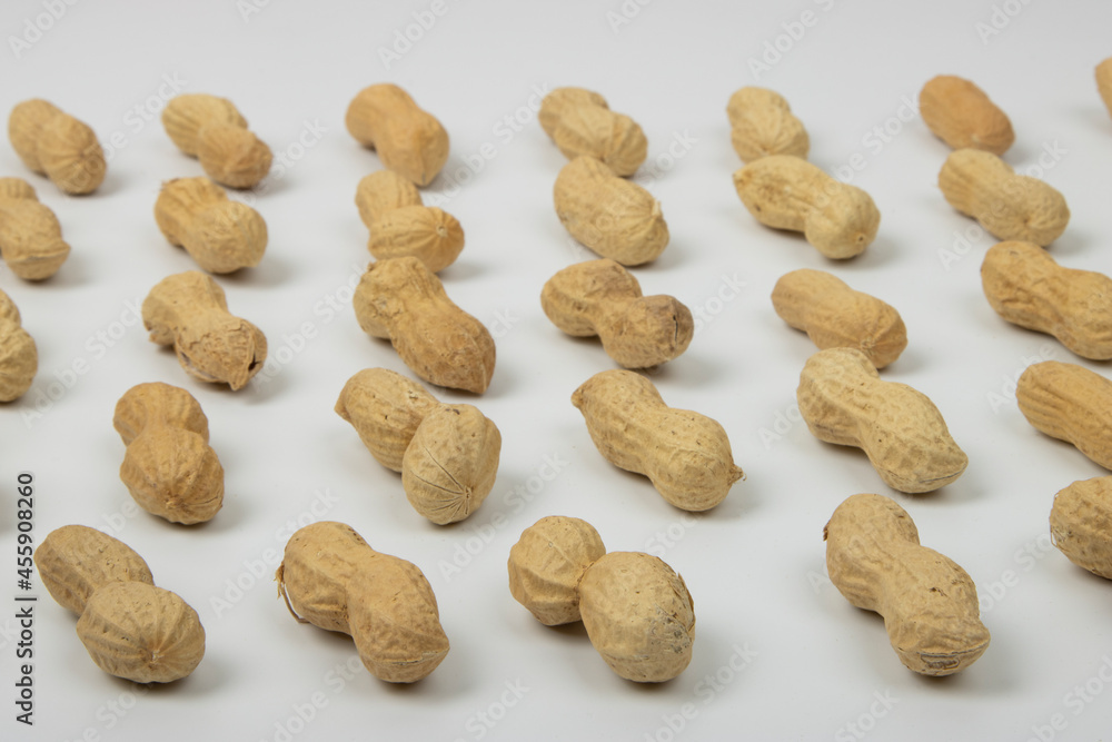 Fototapeta premium Peanut (Groundnut) Lined Up White Background 