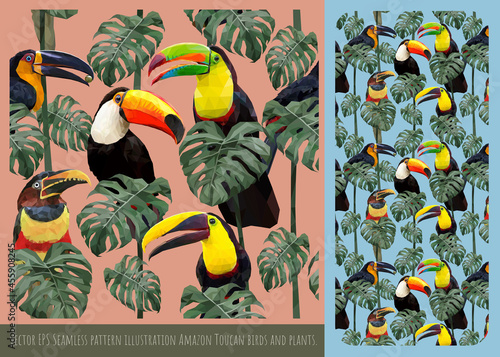 Seamless pattern colorful toucan birds.