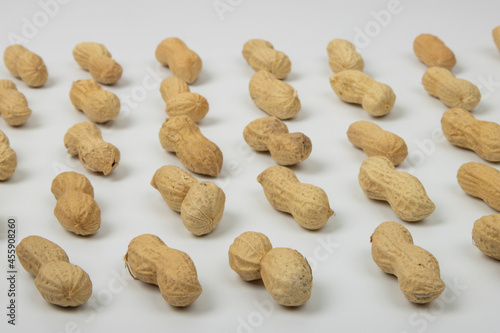 Peanut (Groundnut) Lined Up White Background 