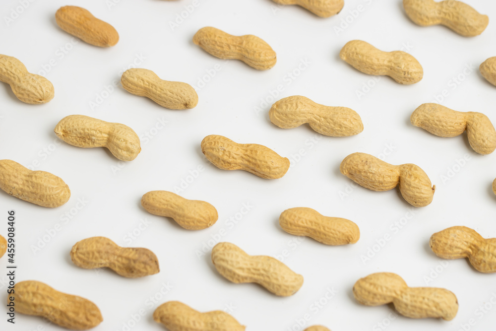 Peanut (Groundnut) Lined Up White Background Peanut (Groundnut) Lined Up White Background