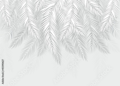 Fototapeta liście  biala-kompozycja-idealnych-lisci-palmowca