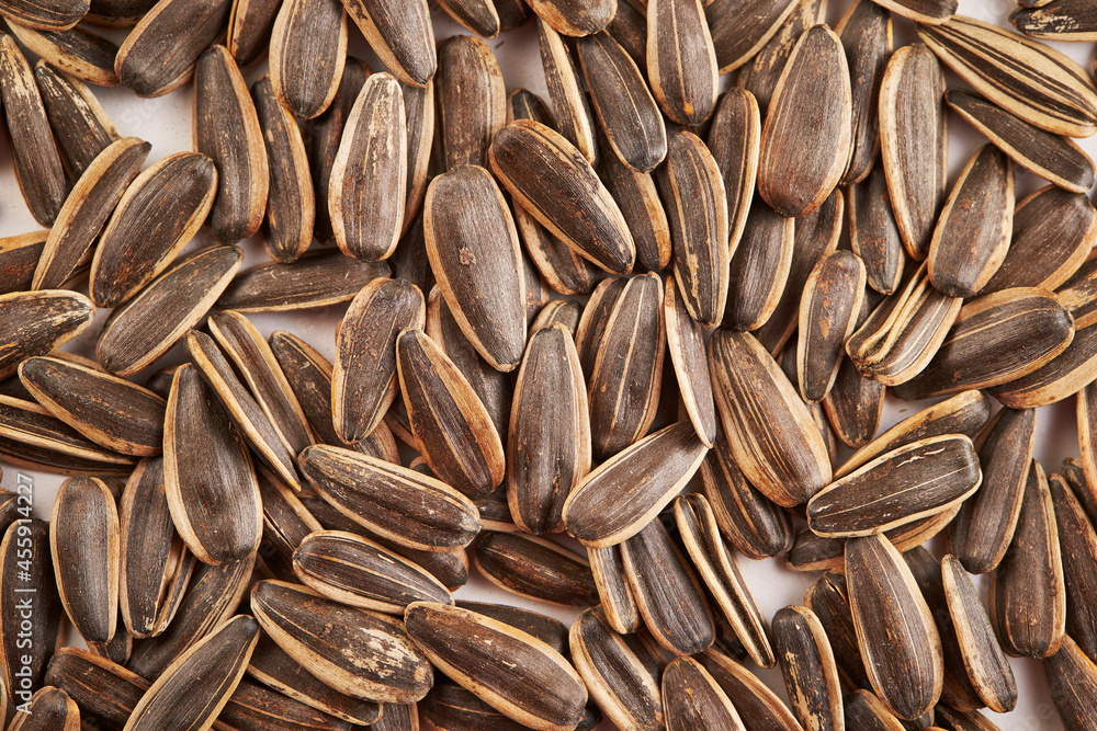 close up of sunflower seed close up of sunflower seed