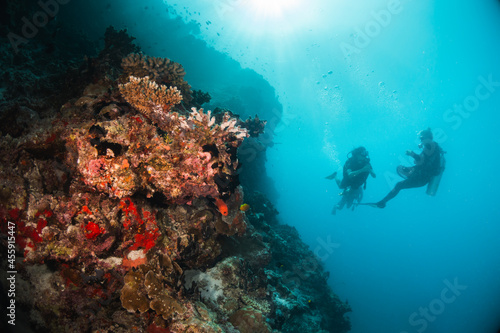 Fototapeta Naklejka Na Ścianę i Meble -  Scuba divers swimming over colorful coral reef ecosystem and mesmerized by the beauty of the underwater world