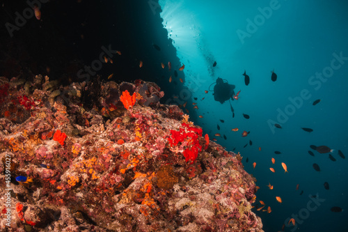 Underwater image of scuba diver among colorful coral reef in beautiful clear blue ocean © Aaron