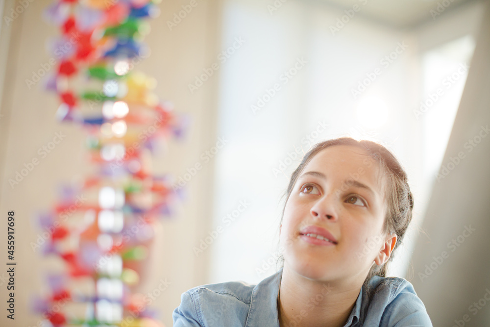 Curious girl student examining DNA model in classroom Curious girl student examining DNA model in classroom