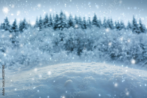 Christmas snow background in blue tone isolated on winter forest . © Swetlana Wall