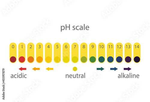 Acidity scale of litmus indicator paper, on a white background.