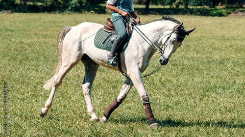 Rider on dressage horse on green field on sunny day. Equestrian sport. Side view.
