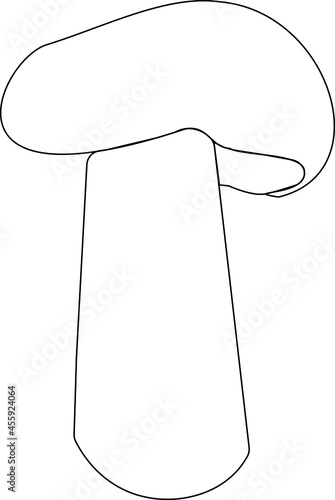 Mushroom vector illustration hand drown doodle sketch etch line for coloring