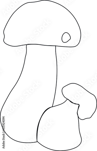 Mushroom vector illustration hand drown doodle sketch etch line for coloring