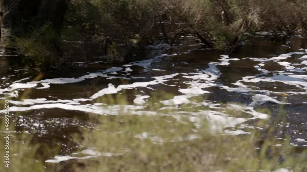 Pan over Blackwood River in flood. White turbulence filtered through misty foreground bushes. Close view with sound Pan over Blackwood River in flood. White turbulence filtered through misty foreground bushes. Close view with sound